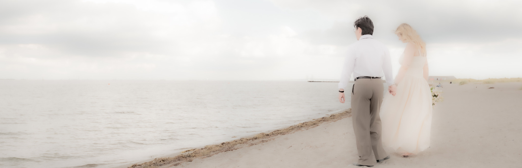 Brautpaar hält sich an den Händen, von hinten am Strand fotografiert